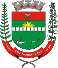 Logo Centenario do Sul